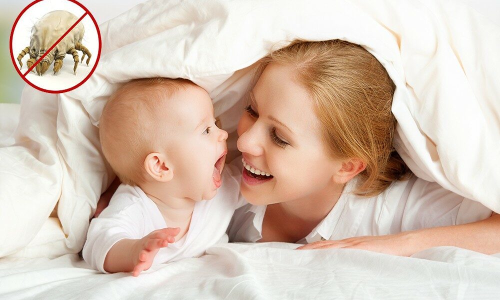 Banner 14-วิธีกำจัดไรฝุ่นในห้องนอน-2
