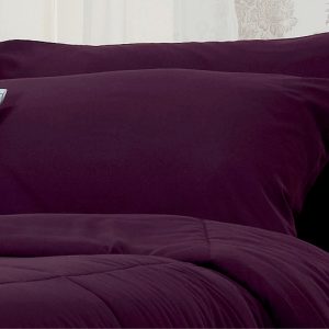 FTPURPLE
