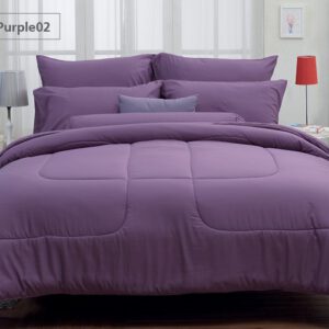FTPURPLE02