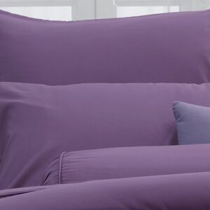 FTPURPLE02