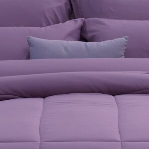 FTPURPLE02