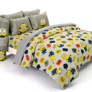 FTC095 minion